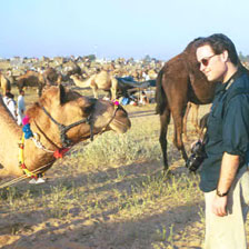 pushkar camel fair