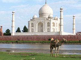 Agra Jaipur Tour Package